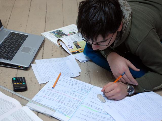 Jeune garçon en étude