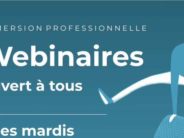 Visuel webinaires Immersion Facilitée