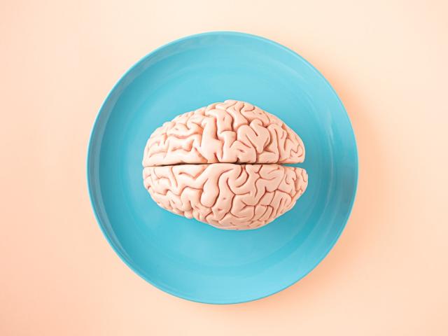 Photo de cerveau dans une assiette