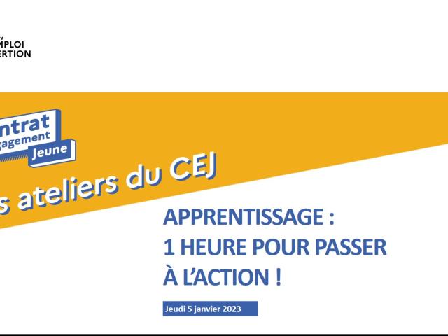 Visuel webinaires CEJ